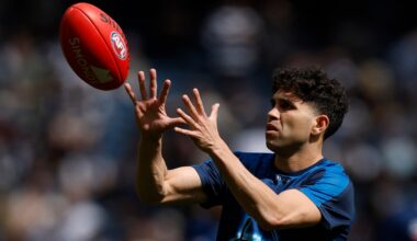 Stengle to take leave from Geelong, no timeline set on return