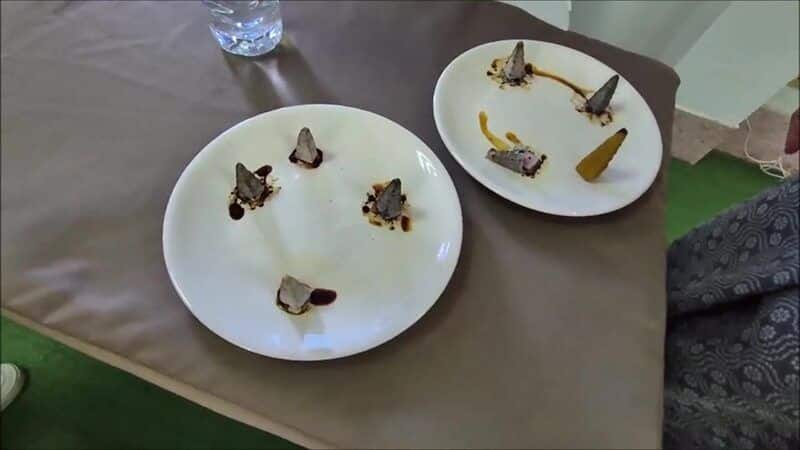 Thai woman claims healing powers with quantum psychic energy | News by Thaiger