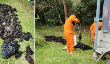 Got a tip? Click on the image above to send me an email.