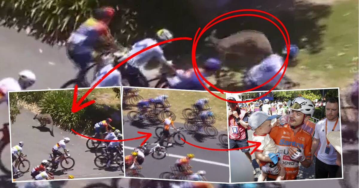 Jay Vine, orange jersey, was knocked off his bike by two kangaroos at the Tour Down Under. Pictures AAP, supplied
