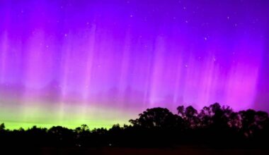 Check out the photos of the southern lights on Tuesday, January 20, 2026. Pictures by David Chapman