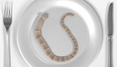 five of the most dangerous diets in the world