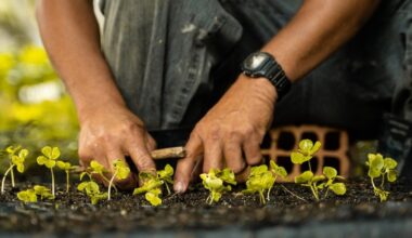 From farms to oceans: How Microsoft is working to scale carbon dioxide removal