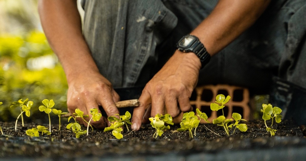 From farms to oceans: How Microsoft is working to scale carbon dioxide removal