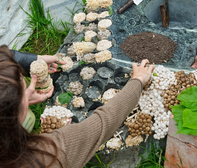 When Eating Becomes Spatial: 14 Projects Built Around Shared Meals - Image 19 of 21