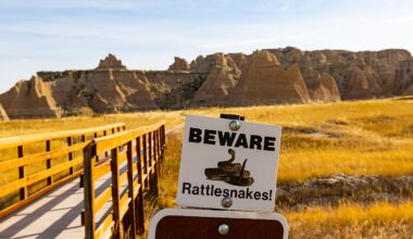 4 Rattlesnake Hotspots In South Dakota