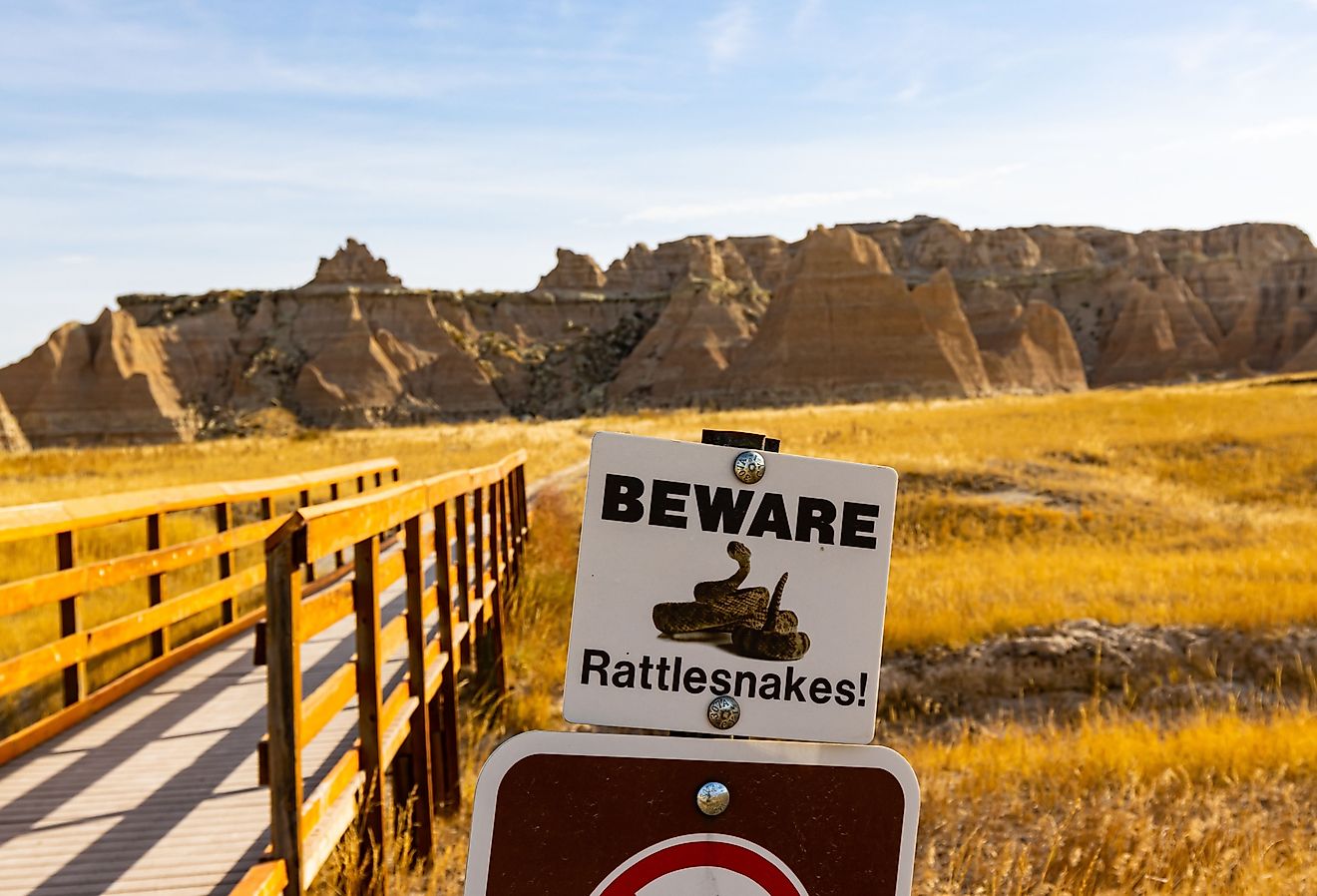 4 Rattlesnake Hotspots In South Dakota