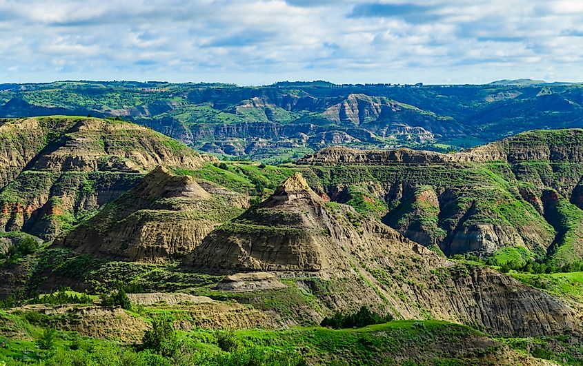 Explore the breathtaking natural beauty of the majestic green canyon landscape with rugged terrain, lush greenery, and stunning panoramic views, Little Missouri State Park, North Dakota 