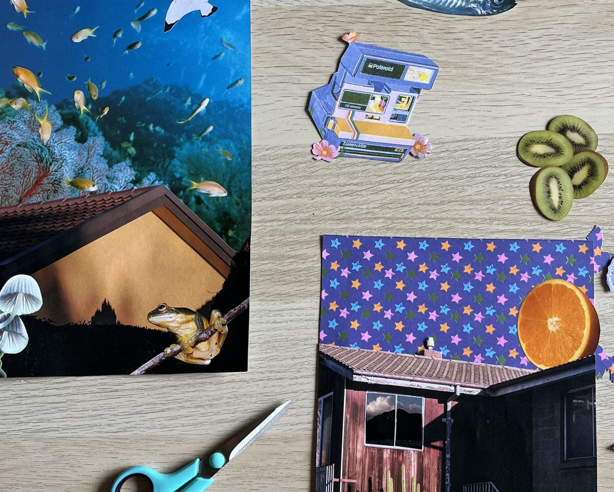 School Holidays: Summer Collage at Photo Access