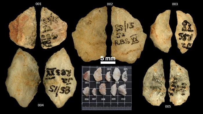 Stone arrowheads from an archeological dig against a black background.