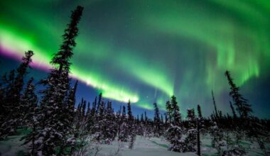 How to Watch Back-to-Back Northern Lights Tonight