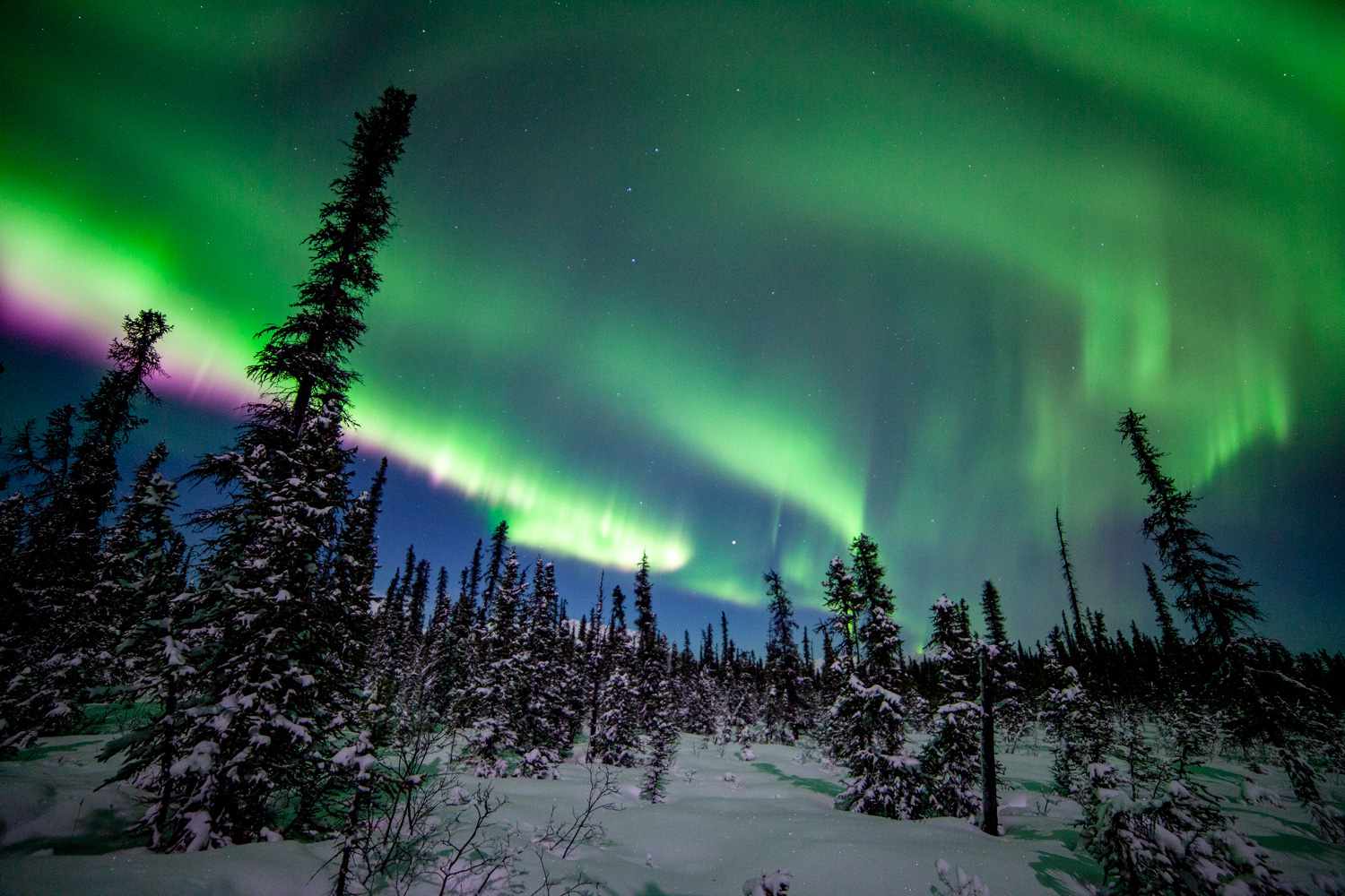 How to Watch Back-to-Back Northern Lights Tonight
