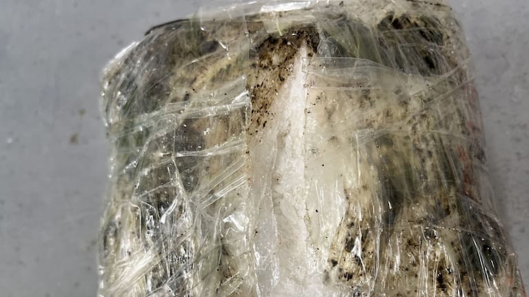 The haul of Class A drugs weighed an estimated 18kg. (Source: Customs NZ)