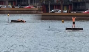 Orca surround swimmer on pontoon at Wellington’s Oriental Bay