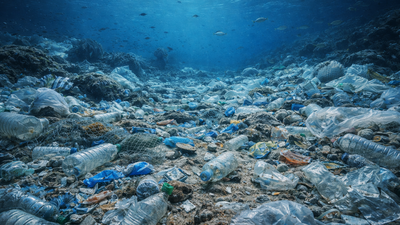 The ocean floor is turning into the world’s biggest plastic dump site killing hundreds of underwater species