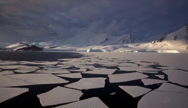 Thinning sea ice around Antarctica