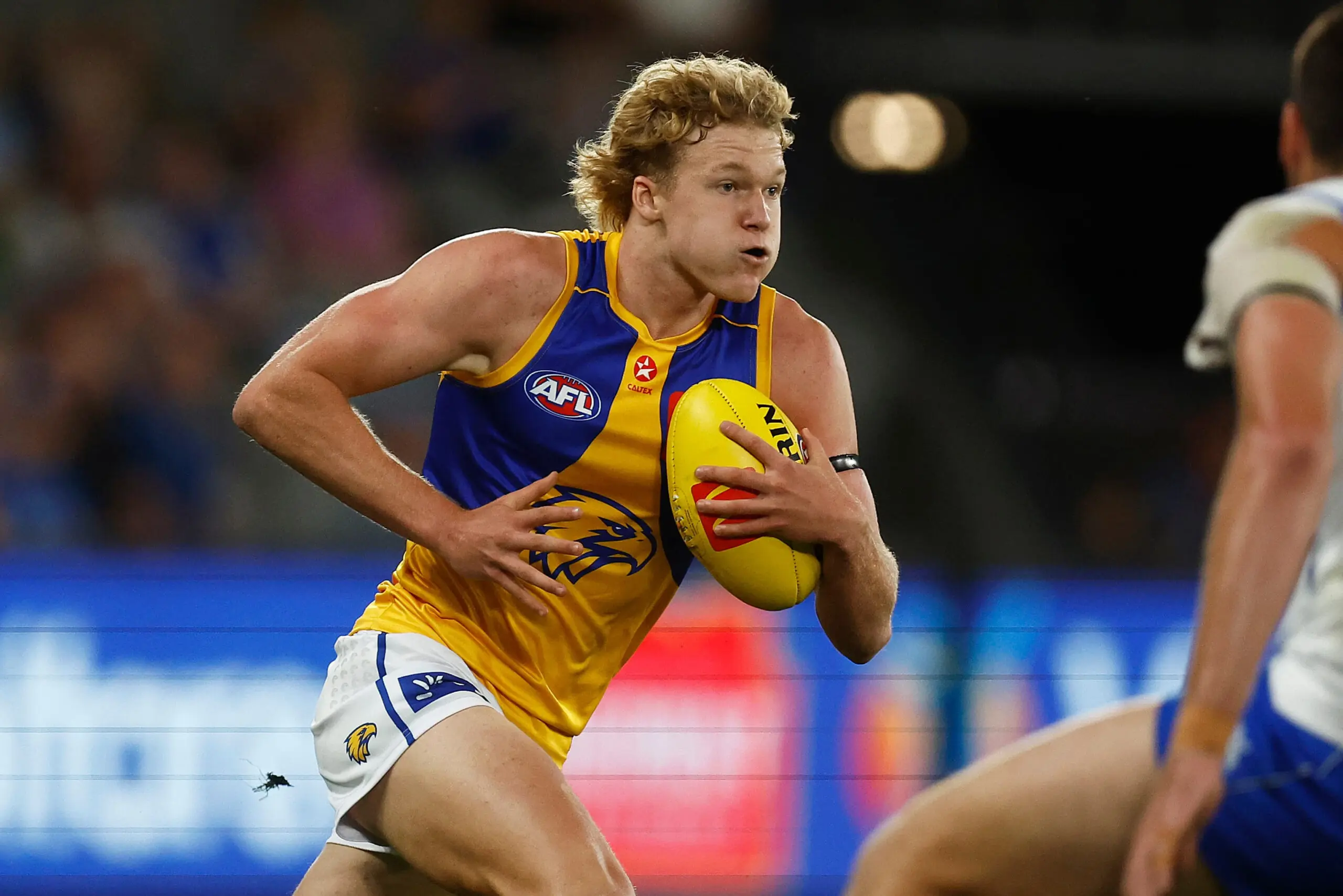 Every AFL team's best 23 for the 2024 season: West Coast Eagles