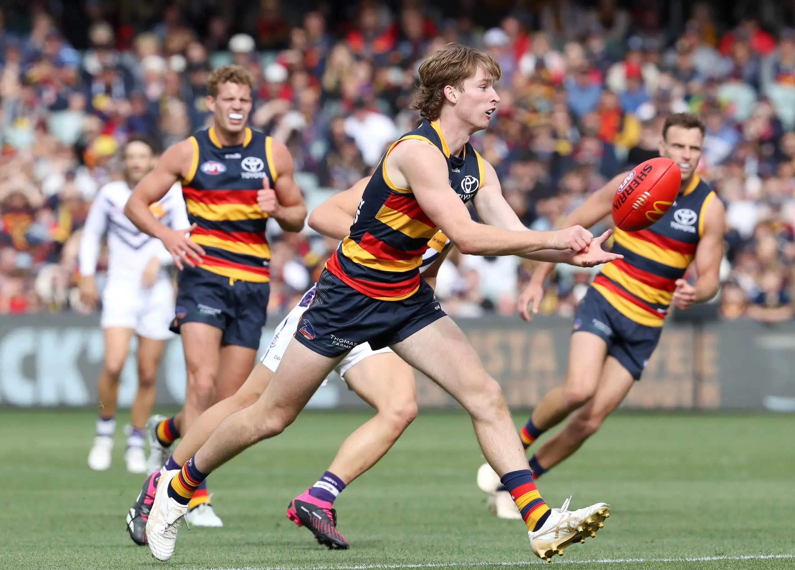 Every AFL team's best 23 for the 2024 season: Adelaide Crows