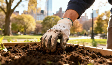 A,Gloved,Hand,Works,With,Rich,,Dark,Soil,In,A