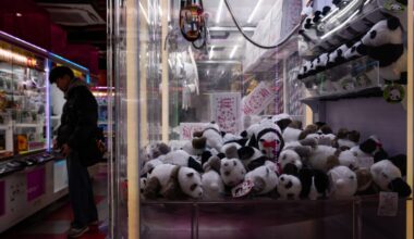 Japanese fans bid farewell to its last 2 pandas