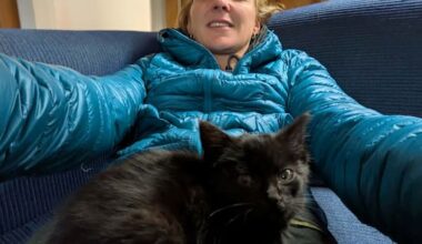 Little black kitten hitches a ride with Te Araroa tramper