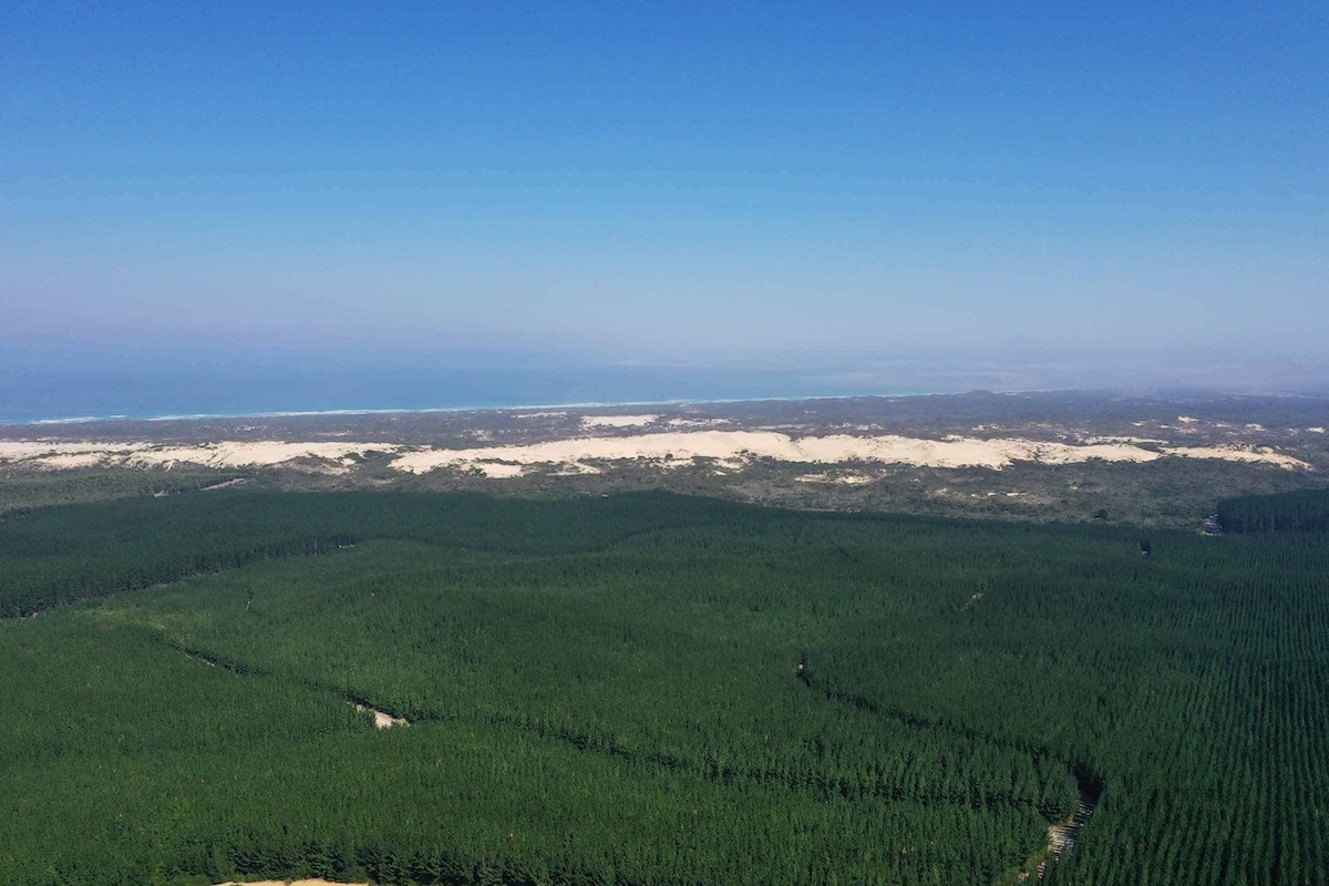 Victoria gives green light to contested wind project, with fewer turbines and operating limits