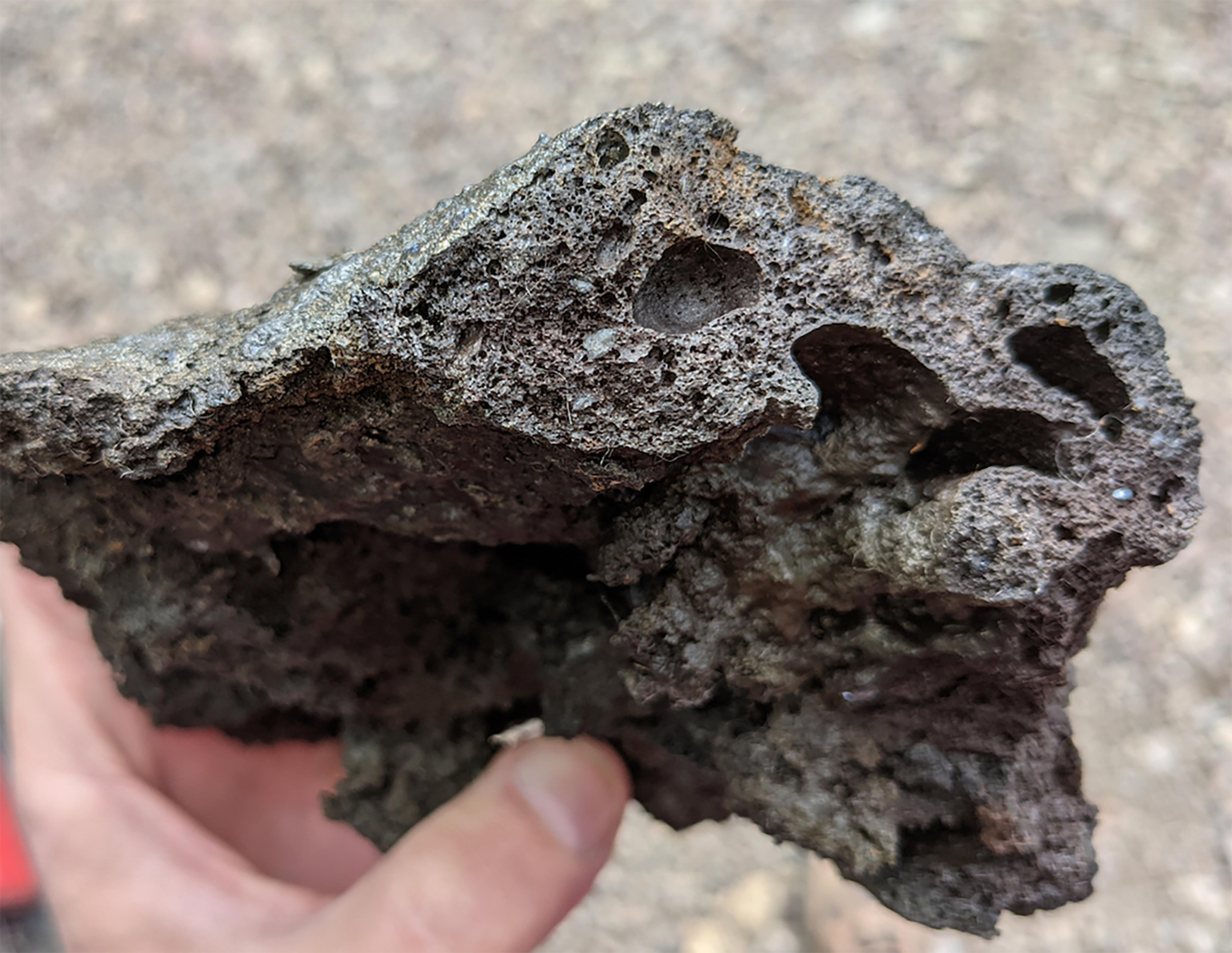 A gray rock is held up to the camera, its porous structure focused in on