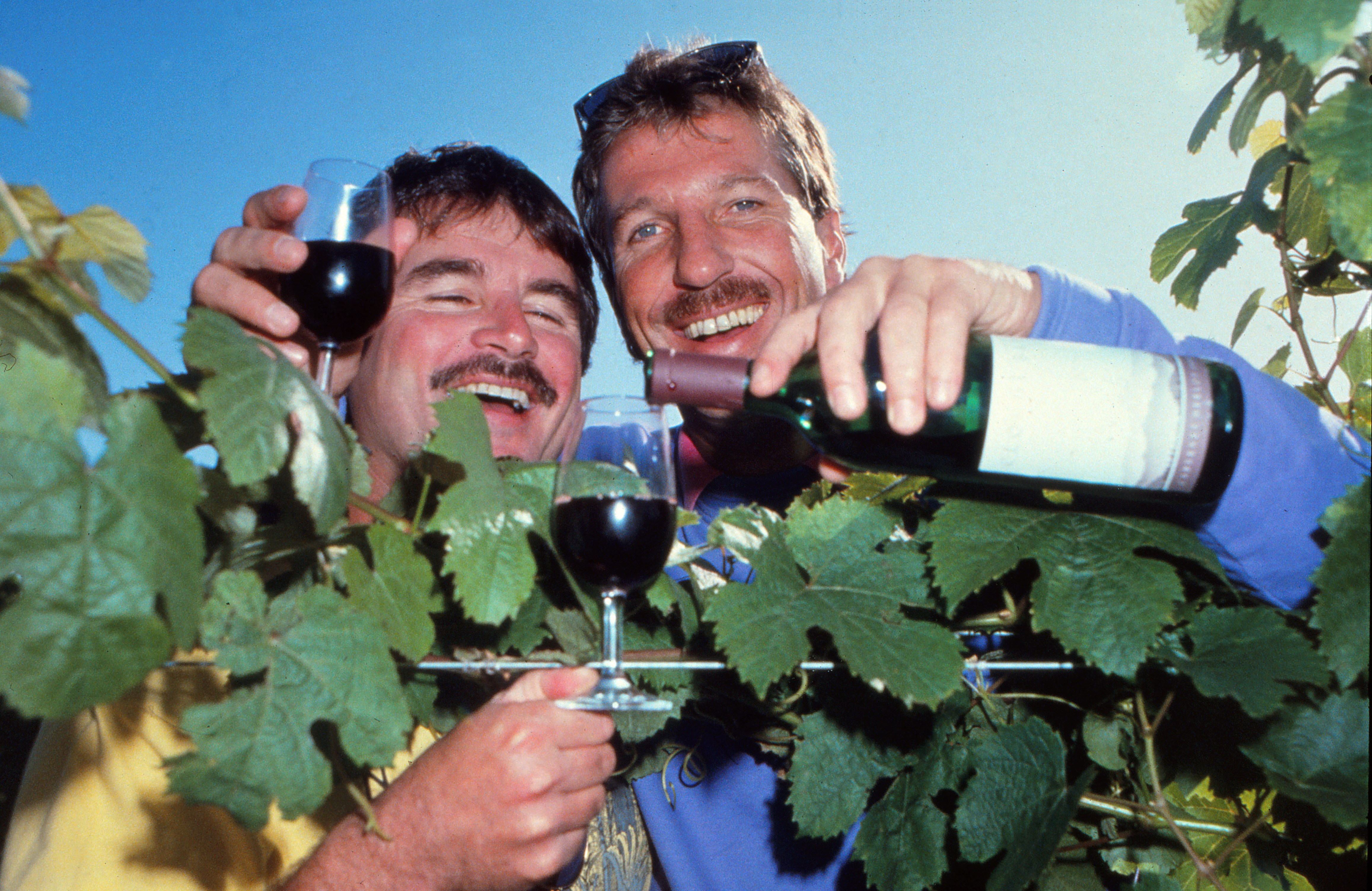Ian Botham and Allan Lamb pouring wine in a vineyard.