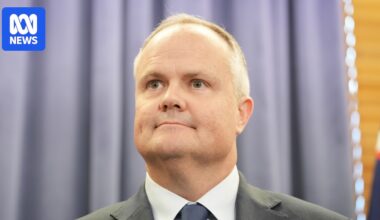 Liberal frontbenchers dismiss prospect of imminent challenge to Sussan Ley