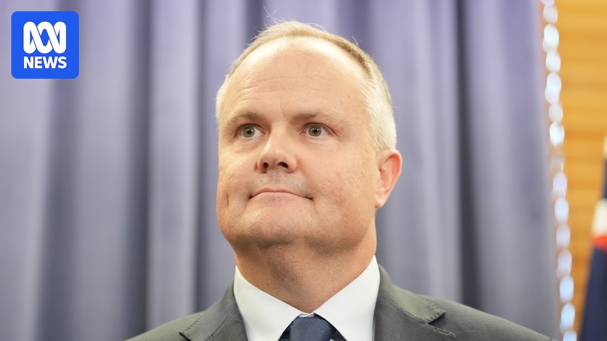 Liberal frontbenchers dismiss prospect of imminent challenge to Sussan Ley