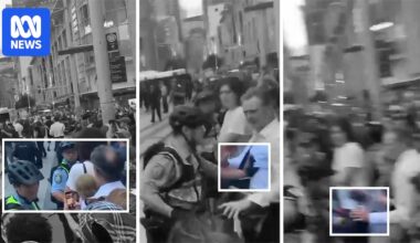 New video sheds light on beginning of altercation between police officers and a Town Hall protester