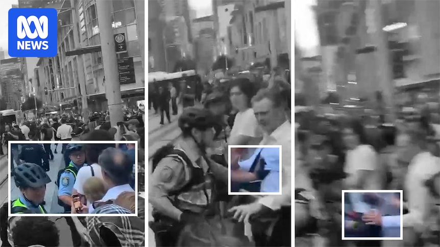 New video sheds light on beginning of altercation between police officers and a Town Hall protester