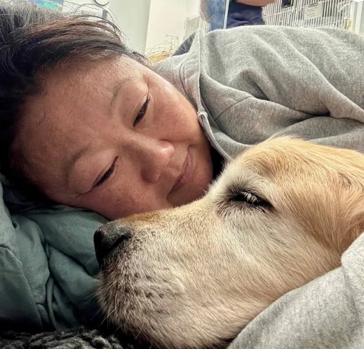 Nagi lies down on a bed at a vet oractice with Dozer, a 14-year-old golden retirever