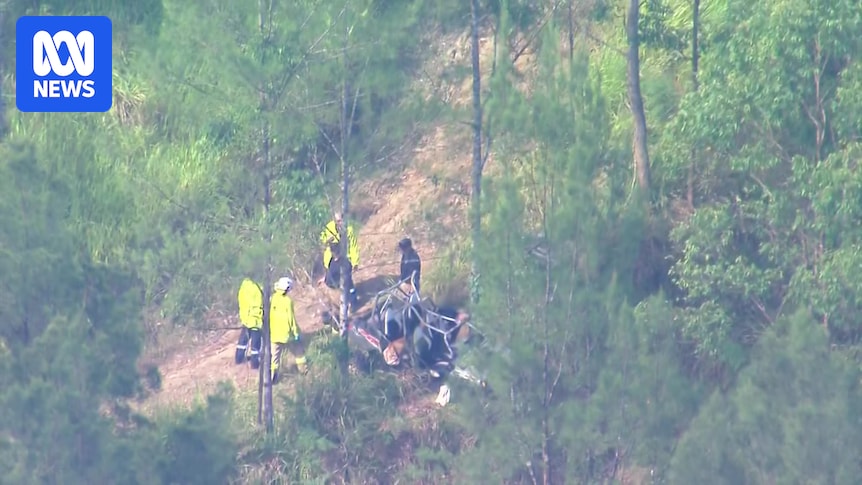 Two people killed as vehicle crashes in Sandy Creek