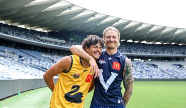 Cats Inherit Numbers Steeped in Origin History