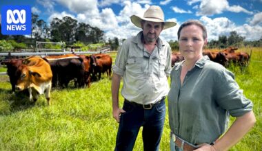 Organic farmers furious at weed-spraying program they say threatens certification