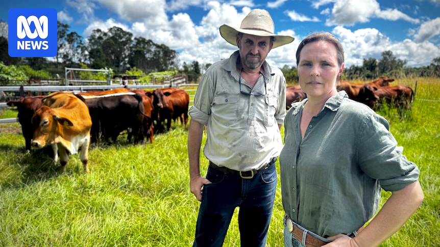 Organic farmers furious at weed-spraying program they say threatens certification