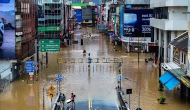 Subscribe Placeholder