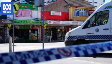 Man arrested after fatal Merrylands stabbing escaped care 10 days before attack, health authorities say