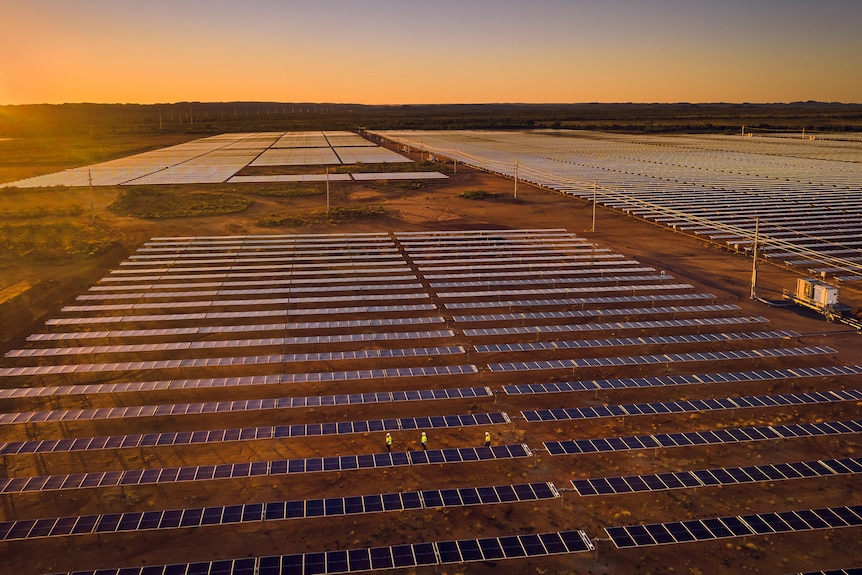 Rows of solar panels, with the sun rising behind them.