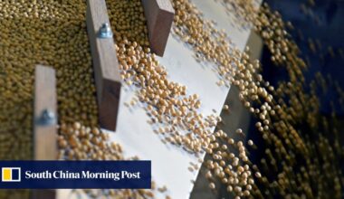 China signals strong demand for soybean imports in 2026 rural blueprint