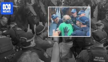 New video shows violent arrest of Australian filmmaker James Ricketson at Sydney's anti-Herzog protest
