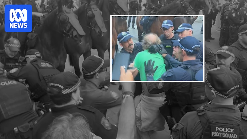 New video shows violent arrest of Australian filmmaker James Ricketson at Sydney's anti-Herzog protest
