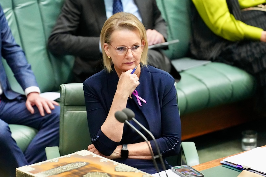 Sussan Ley