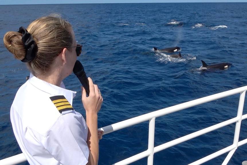 A woman with a microphone looking at whales in the distance.