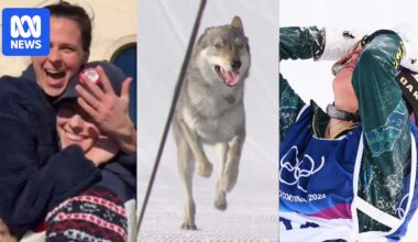Winter Olympics 2026: Dog invades cross-country skiing, Americans get engaged as Ally Hickman feels the pain — day 12 quick hits