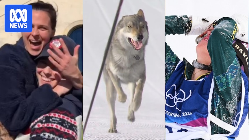 Winter Olympics 2026: Dog invades cross-country skiing, Americans get engaged as Ally Hickman feels the pain — day 12 quick hits