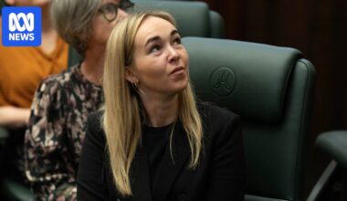 Tabatha Badger angling to replace outgoing Greens senator Peter Whish-Wilson