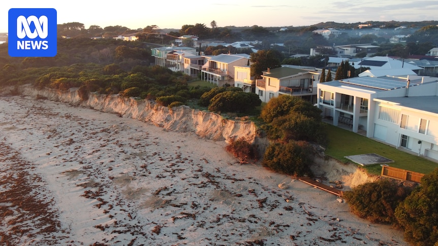 Coastal communities weigh costs and potential retreat as erosion batters SA's Limestone Coast