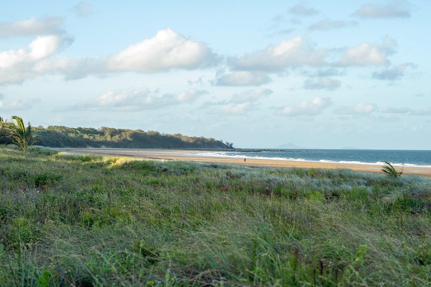 A beach with grassy dunes